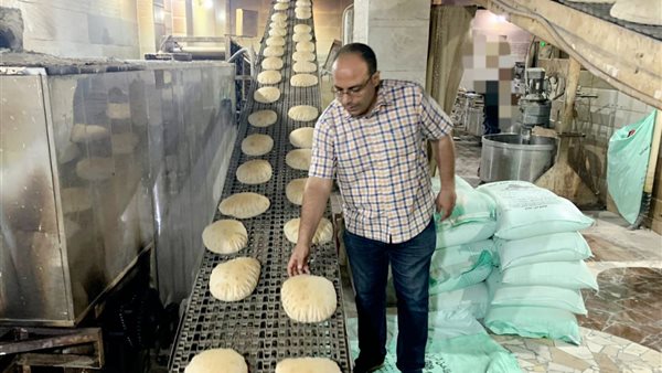 حملات التفتيش 