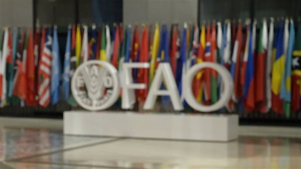 منظمة الفاو