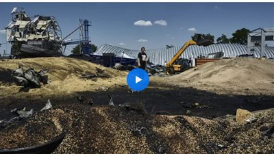 صحف غربية: روسيا تمارس الإرهاب الغذائي وترغب أن يدخل العالم في مجاعة