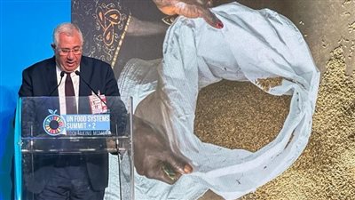 وزير الزراعة: تحقيق الأمن الغذائي والمائي يُشكل تحديا لشعب يعيش ندرة مائية