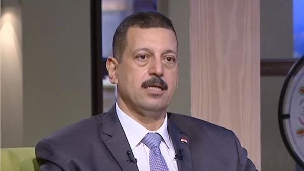 الدكتور أيمن حمزة