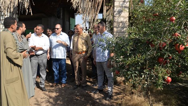 محافظ أسيوط