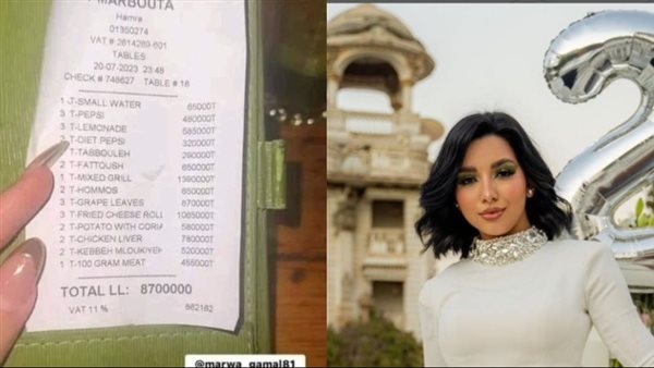 البلوجر أروى قاسم