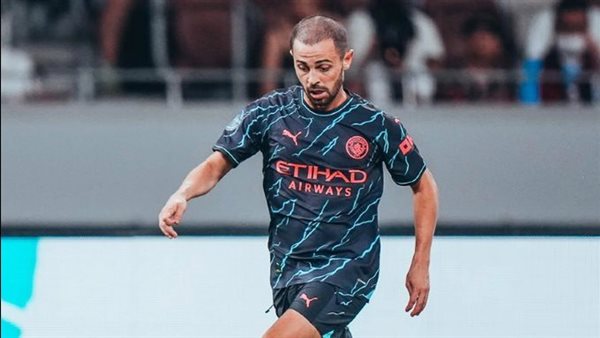 بيرناردو سيلفا 