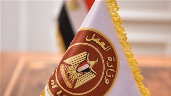 وزارة العمل 