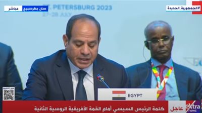 السيسي: الدول الإفريقية ذات سيادة مستقلة.. وينبغي أن تبقى بمنأى عن مساعي الاستقطاب في الصراعات القادمة