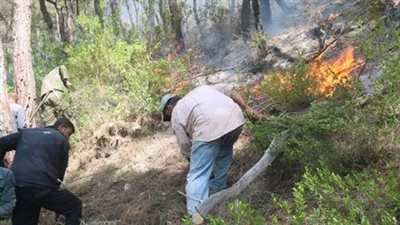 موجة حرائق الغابات.. فرق سورية تحاول السيطرة على النيران لليوم الرابع على التوالي