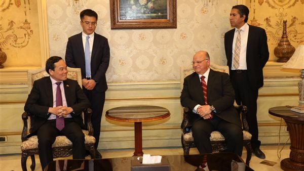 محافظ القاهرة ونائب