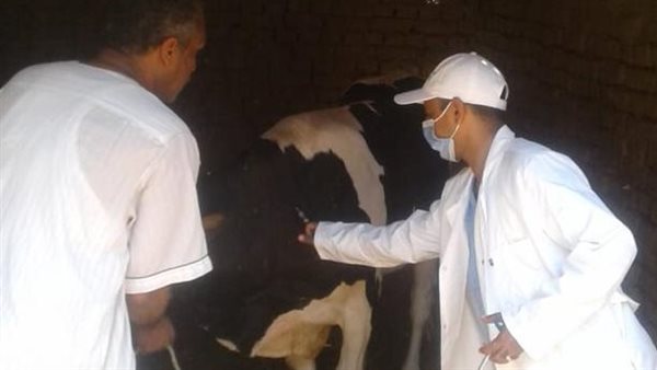 تحصين الماشية