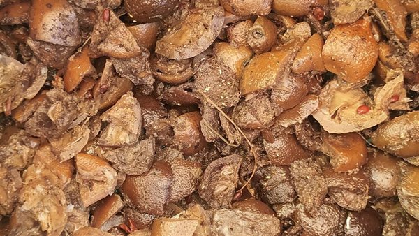 ضبط 31 ألف قطعة حلوى