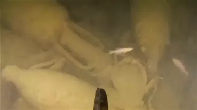 العثور على حطام سفينة رومانية غرقت منذ أكثر من 2000 عام بالقرب من روما 