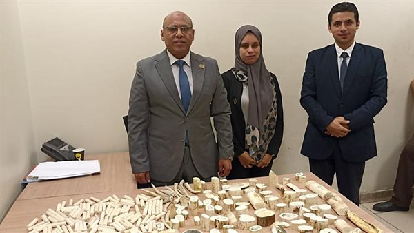 ضبط 17 كيلو عاج بمطار