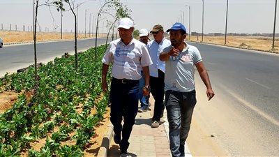 الإسكان: استكمال تطوير طرق ومداخل مدينة بدر ضمن خطة شاملة