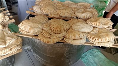 تموين الإسكندرية: تحرير 400 محضر ضد مخابز ومحال تجارية