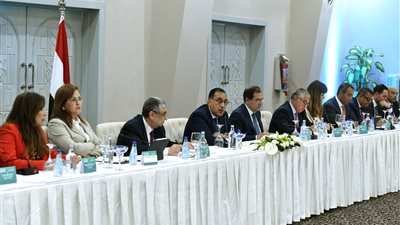 وزراء الكهرباء والبترول والتخطيط يستعرضون خطط إنتاج الهيدروجين الأخضر في مصر