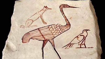 المتحف المصري يعرض قطعة أوستراكا تمثل أشكال حيوانات وطيور 