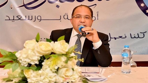 عادل اللمعي - مجلس