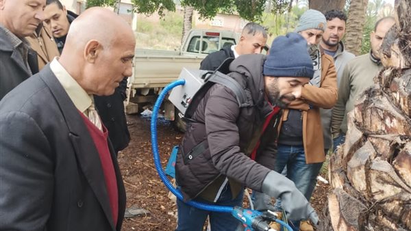 الزراعة توزع 25 ألف