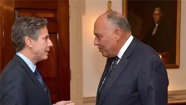 شكري وبلينكن 