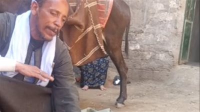 جدي مات بلدغة ثعبان وورثت المهنة عنه.. أشهر حاوي ثعابين ببني سويف يروي أسرارًا جديدة |بث مباشر