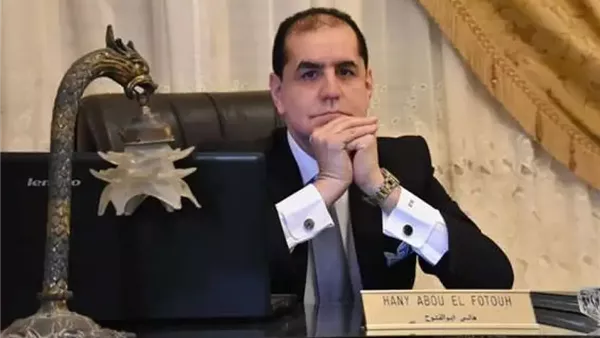 هاني أبو الفتوح الخبير