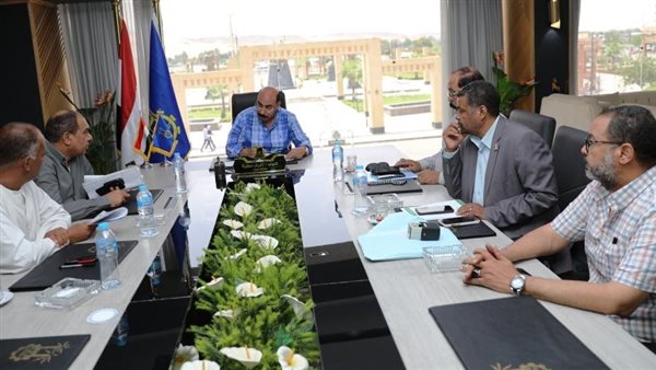 محافظ أسوان