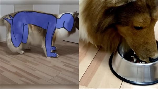 الشاب الياباني المتحول