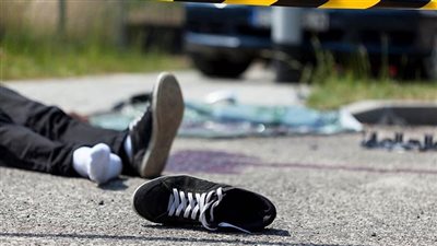 شابان يلقيان قطة حامل من الطابق الخامس.. وصاحبها: أحدهما مات في حادث والآخر رُفد من عمله