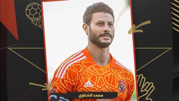 محمد الشناوي 