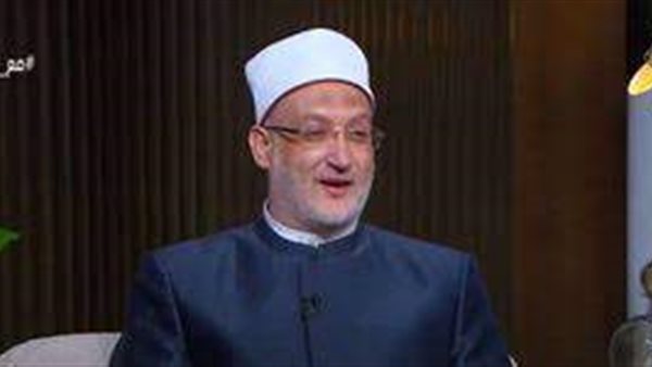  الدكتور محمد نجيب