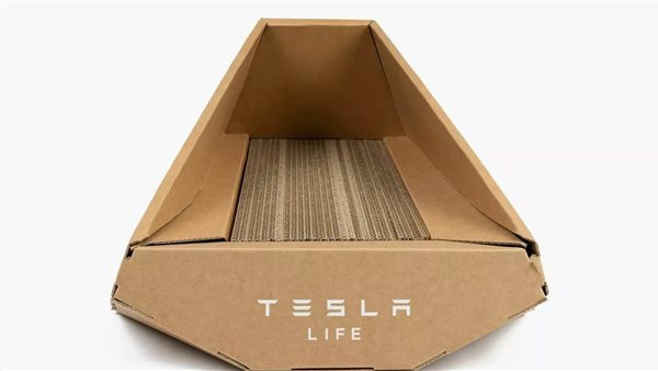 صندوق فضلات القطط