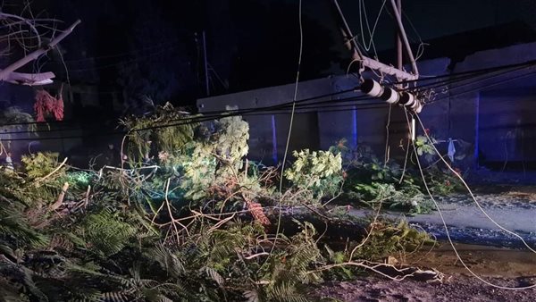 سقوط شجرة وعامود