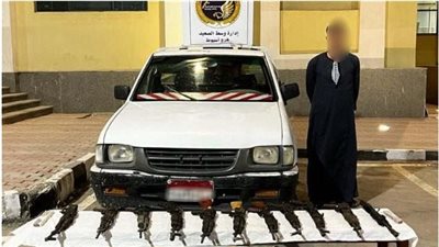 القبض على عنصر إجرامي بتهمة الإتجار في الأسلحة النارية بأسيوط 