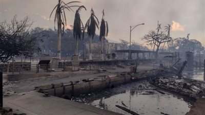 جنة تحولت لجهنم.. ارتفاع حصيلة ضحايا جزر هاواي إلى 36 قتيلا