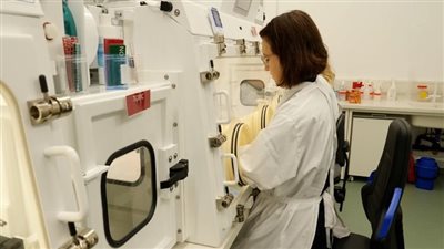 علماء يبدأون في تطوير لقاح لمرض أكس خوفًا من حدوث جائحة جديدة