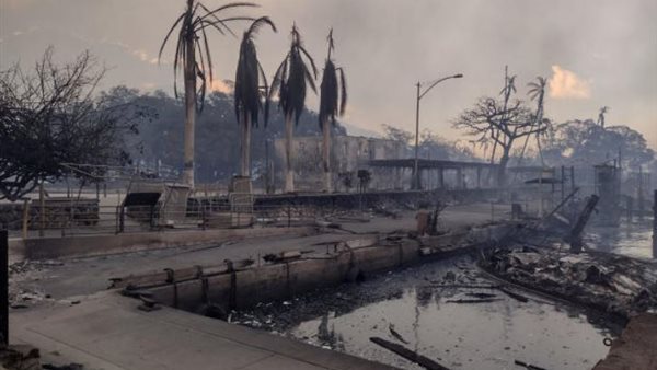 حرائق هاواي