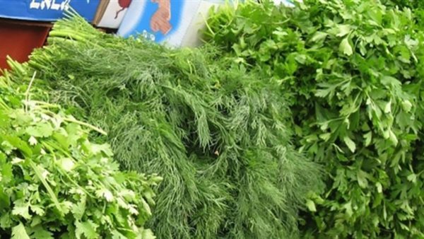 البقدونس والشبت والكزبرة