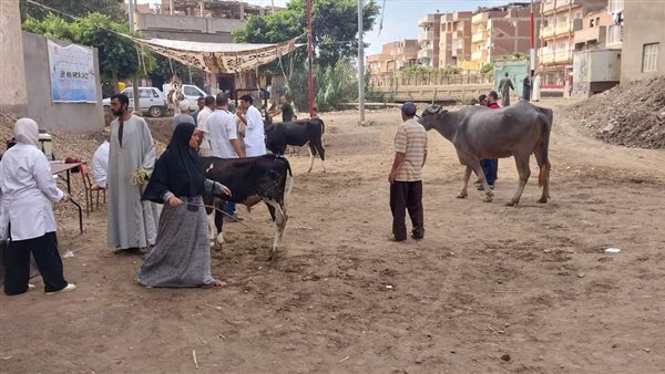قافلة بيطرية مجانية