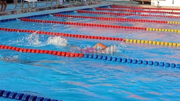 بطولة السباحة في