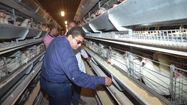 نائب محافظ بني سويف