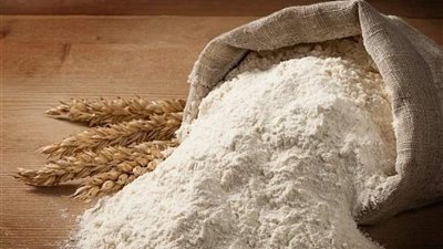 التصديري للصناعات الغذائية: فرص واعدة أمام صادرات الدقيق المصري لـ5 أسواق رئيسية أبرزها العراق