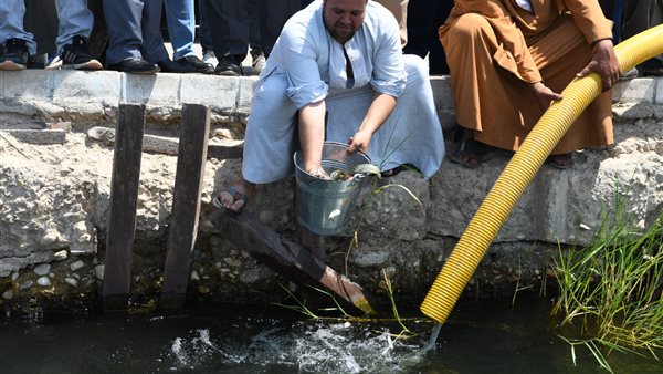إنزال مليون زريعة