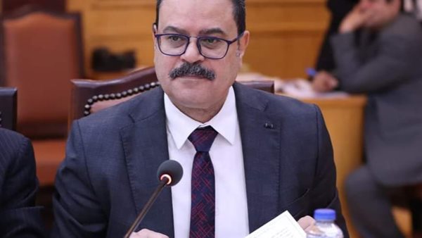 الدكتور محمد الشربيني