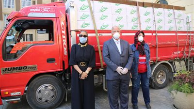 بالتنسيق مع التضامن الاجتماعي.. توزيع إعانات غذائية لـ1000 أسرة بمحافظة القاهرة (صور)