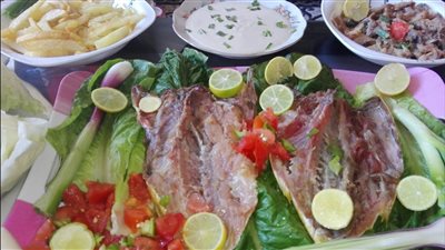 “سموم الإسكندرية”: نجحنا في التوعية بمخاطر الفسيخ.. واستقبلنا 3 حالات تسمم بشم النسيم