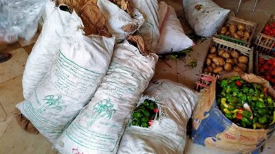 مساعدات غذائية وطبية للأسر المعزولة بسبب إصابات كورونا في مصنع “لافاش كيري” بالشرقية (صور)