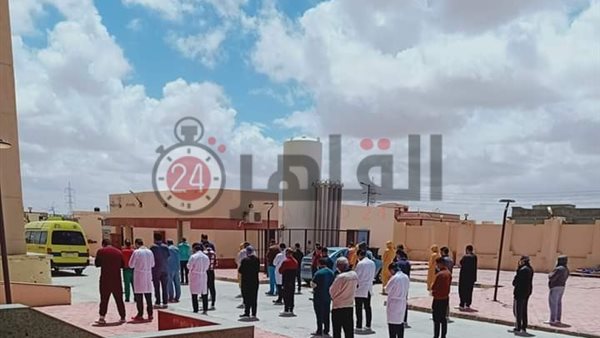 القاهرة 24