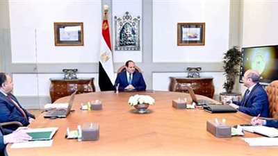 السيسي يوجه بالإسراع في تطوير المنظومة القضائية ورفع كفاءة المحاكم