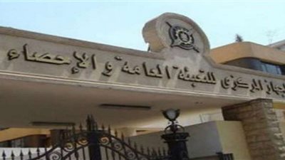 “التعبئة والإحصاء”: الصحف الورقية تضررت بشدة نظرًا للاعتماد على المواقع الإلكترونية