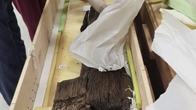 المتحف المصري الكبير يستقبل 42 قطعة خشبية من مركب خوفو الثانية (صور)